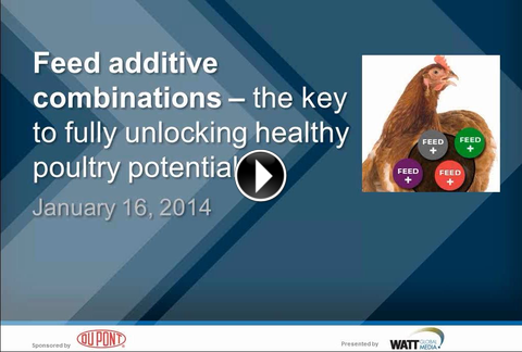 In this webinar, Dr Kirk Klasing and Danisco Animal Nutrition's Dr Ajay Awati discuss the topic "Feed additive combinations - the key to fully unlocking healthy poultry potential?"